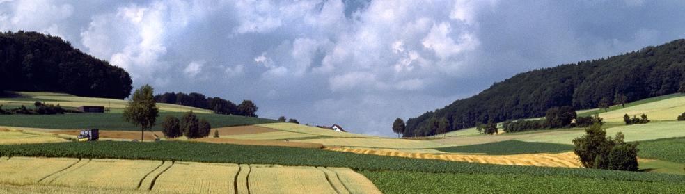 A hilly landscape in the Swiss Central Plateau with arable fields and meadows in the foreground. The area has isolated trees, hedges and woodlands. On the horizon, there are cumulus clouds in a blue sky.