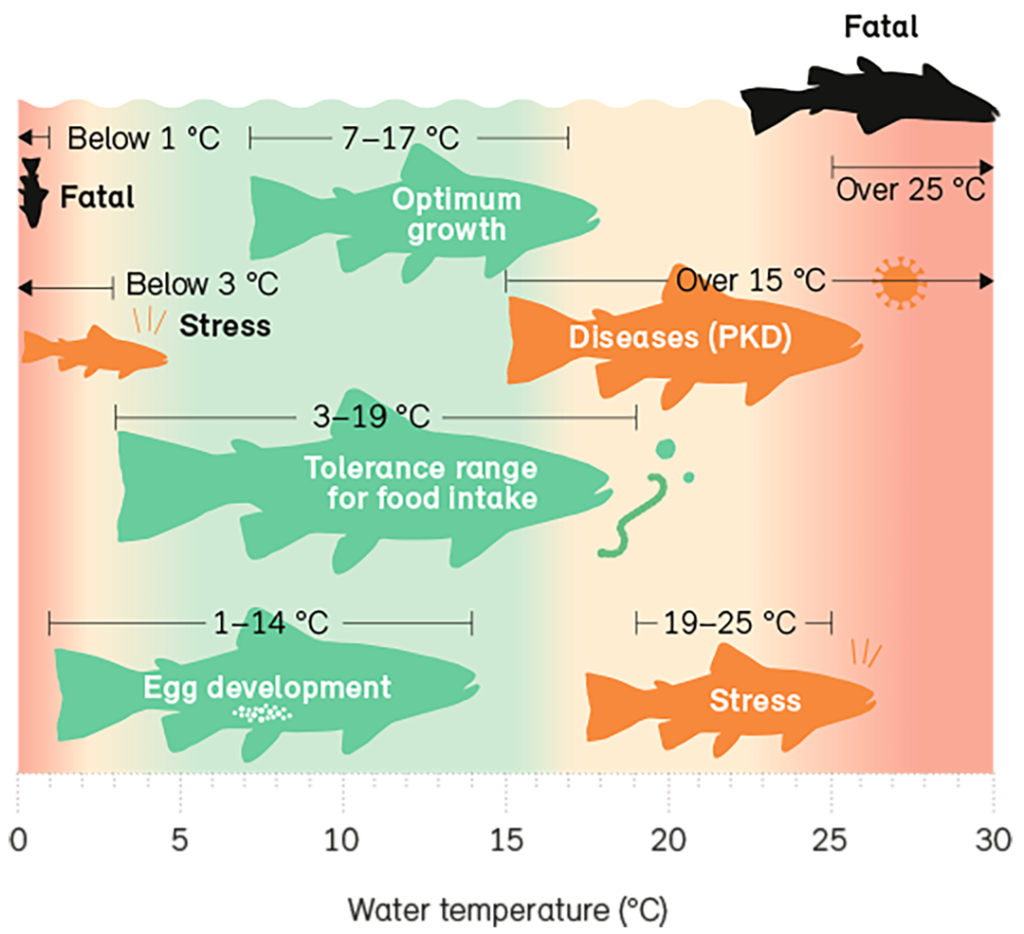 Thermal requirements of the brown trout