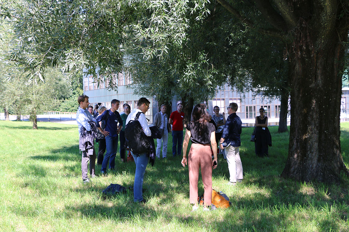 Gruppo di partecipanti alla conferenza sotto un albero