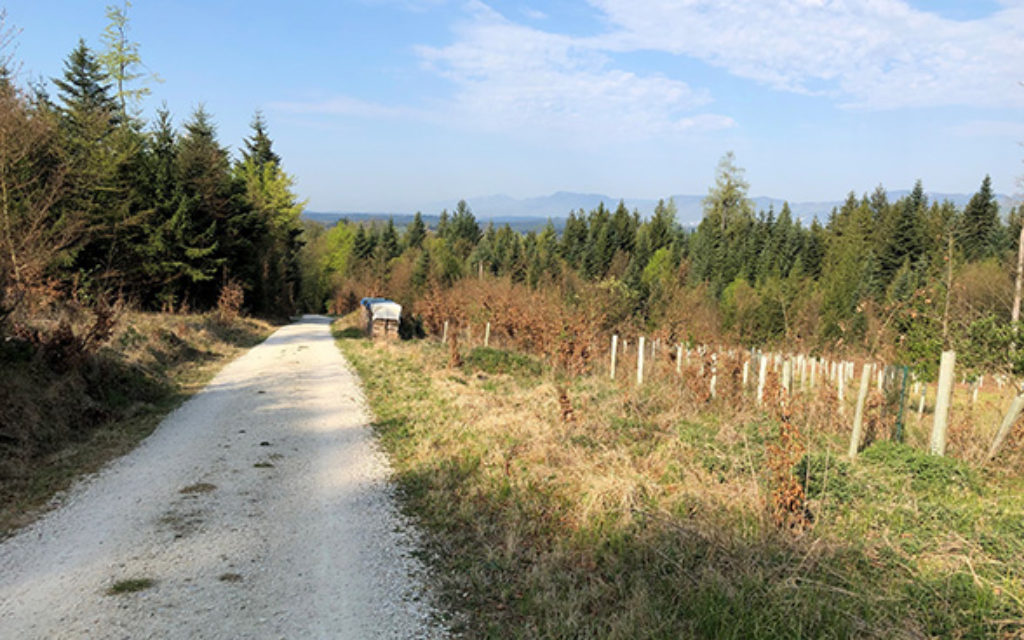 Blick in Richtung Jura im April 2020