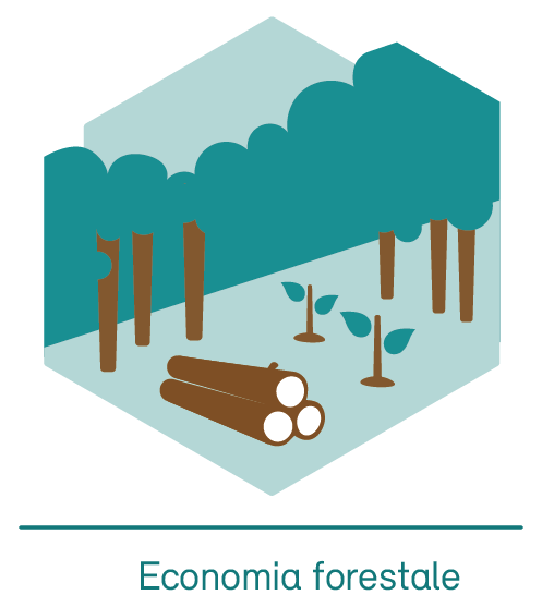Economia forestale