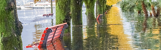 Das Bild zeigt eine überschwemmte Seepromenade mit Sitzbänken und Palmen.