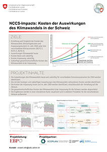 FKS-Poster_P5KostenKlimawandel_DE_300x212
