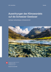 Cover Synthesebericht