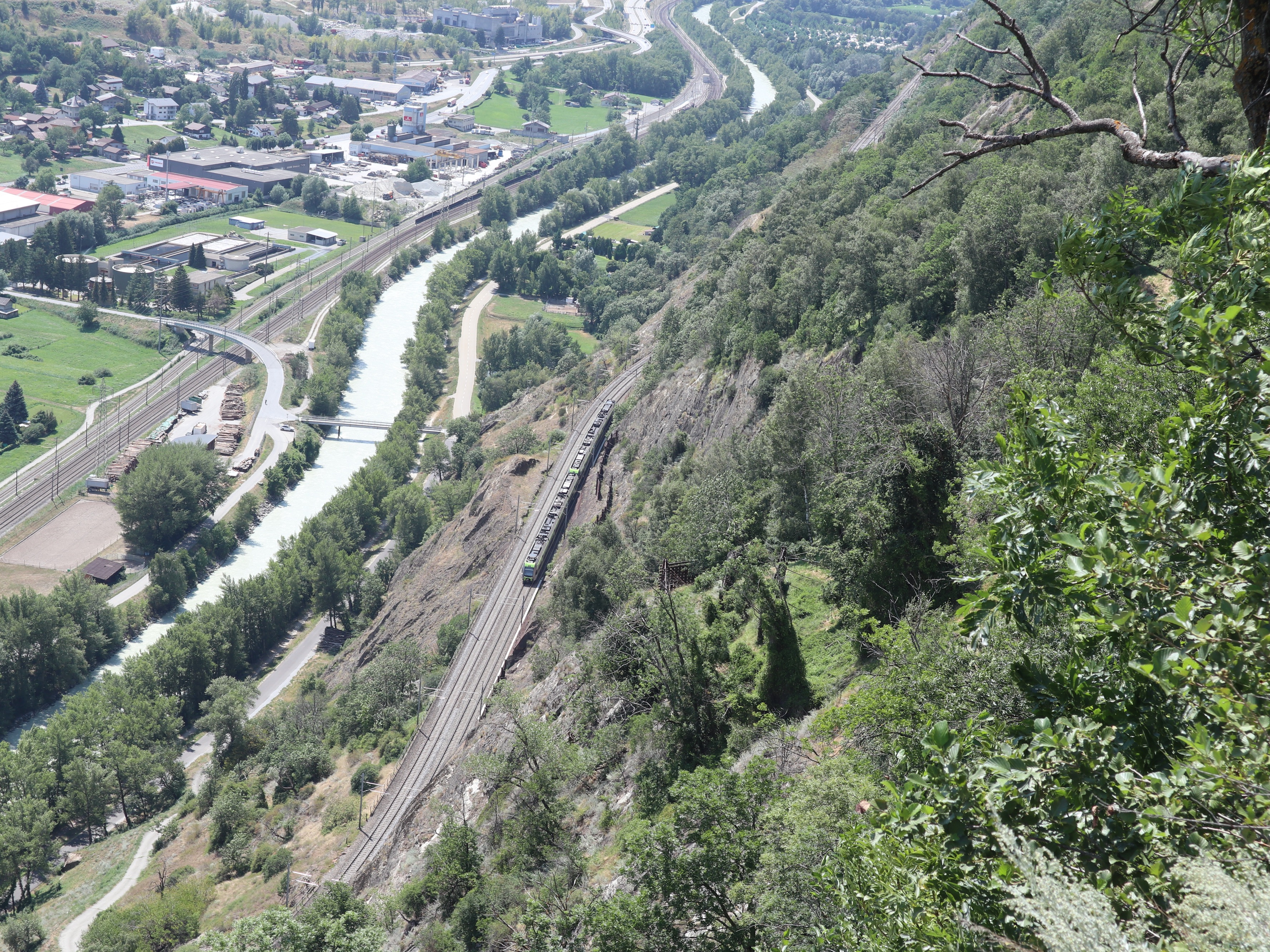Am Fuss eines begrünten Steilhangs fährt die Lötschbergbahn.