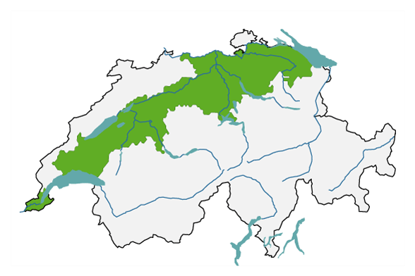 Gezeigt ist eine Karte der Schweiz mit den Umrissen der Grossregion Mittelland. Sie beinhaltet Teile der Kantone Genf, Waadt, Freiburg, Bern, Solothurn, Luzern, Zug, Zürich, Thurgau und St. Gallen.