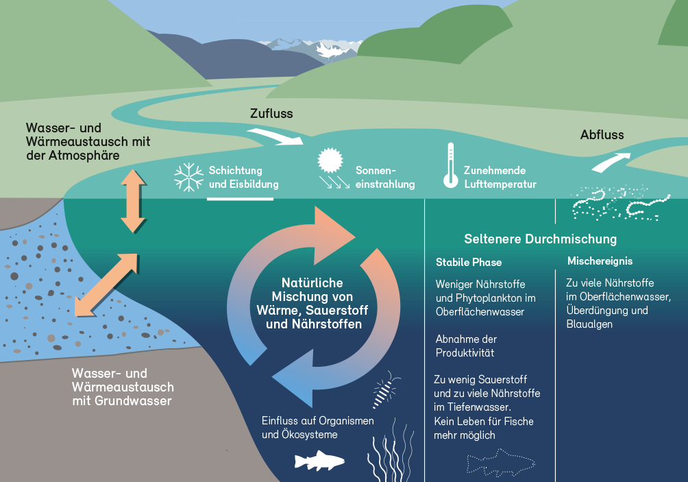 Wichtige Prozesse in Seeökosystemen, die vom Klimawandel verändert werden können