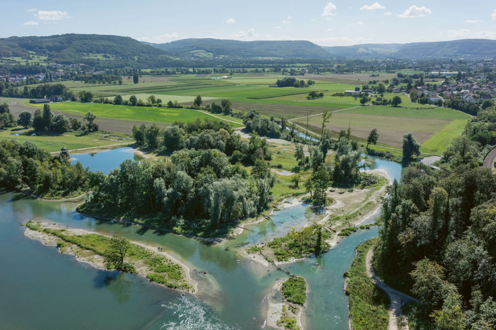 Wertvolle Lebensräume nach Revitalisierungen