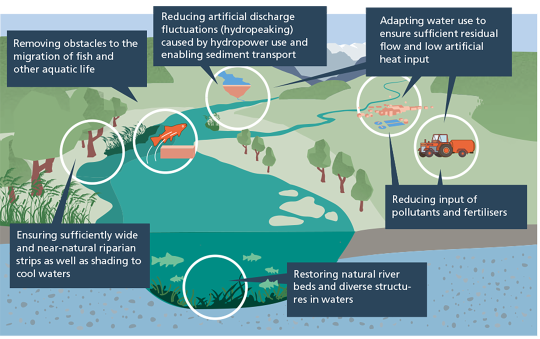 Measures to strengthen surface water bodies