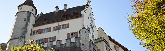 Ansicht von unten auf Schloss Lenzburg