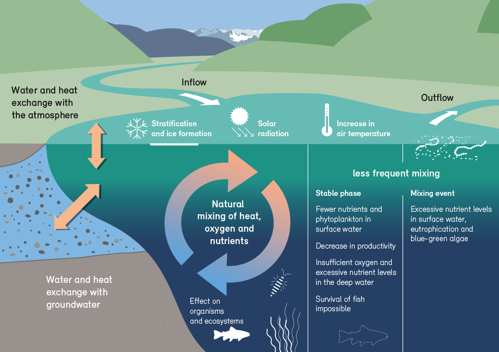 Important processes in lake ecosystems which can be altered by climate change