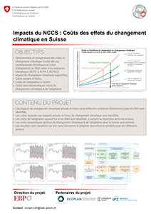 FKS-Poster_P5KostenKlimawandel_FR_300x212