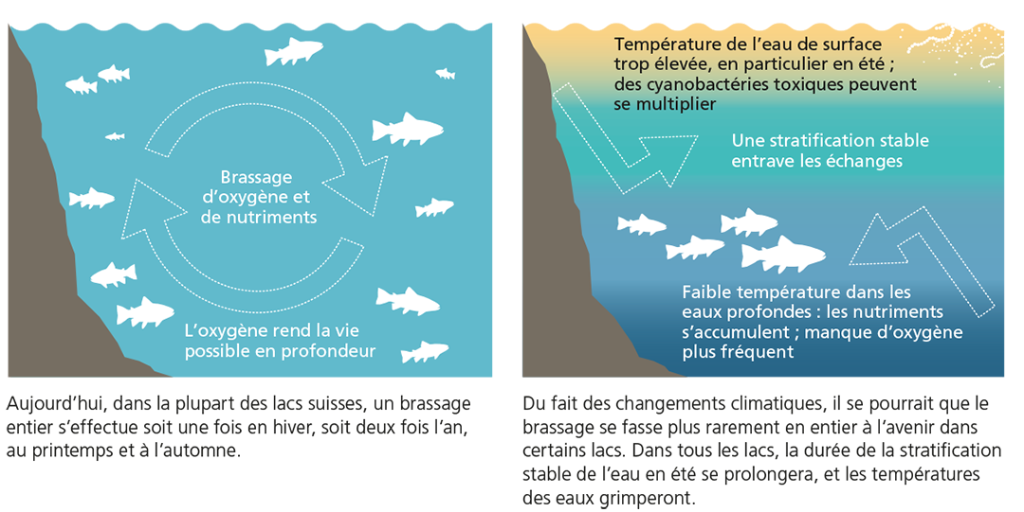 Effets du réchauffement climatique sur les lacs