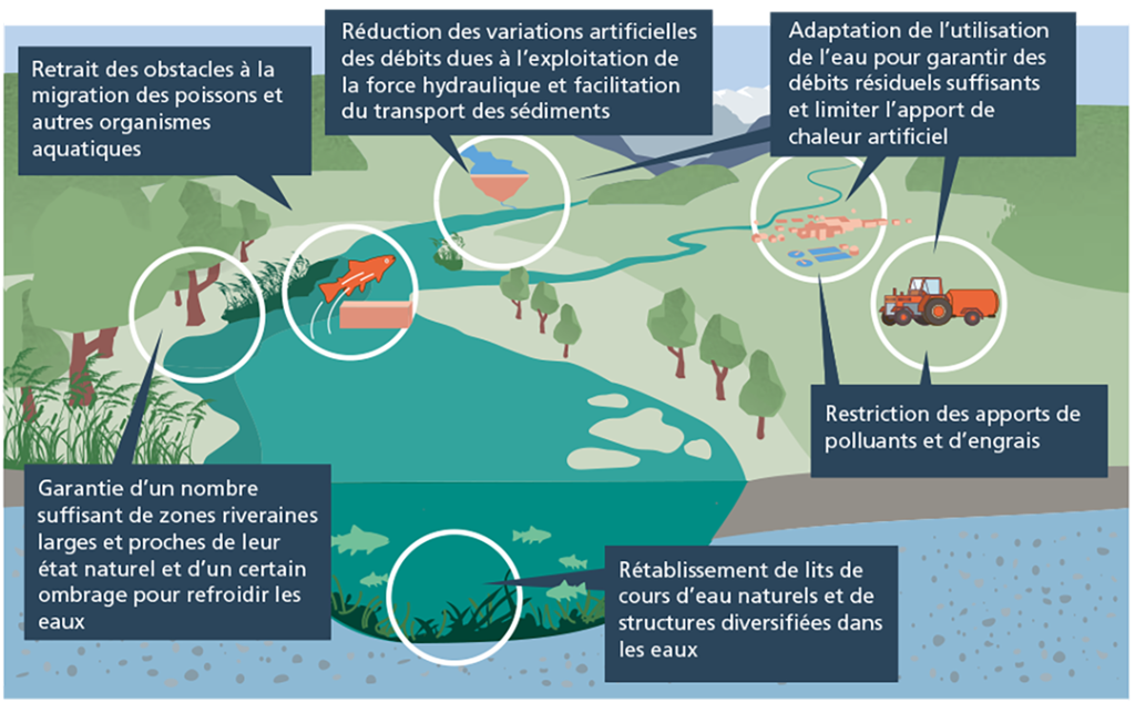 Graphique sur les mesures de renforcement des eaux