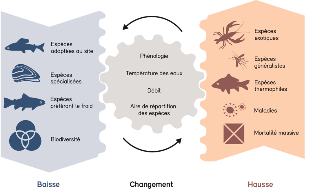 Gagnants et perdants des changements climatiques