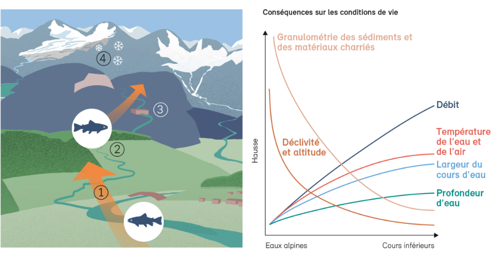 Mise en réseau dans un contexte de conditions de vie modifiées