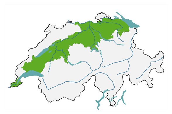 L’image est une carte de la Suisse sur laquelle est mise en évidence la grande région du Plateau, comprenant en partie les cantons de Genève, de Vaud, de Fribourg, de Berne, de Soleure, de Lucerne, de Zoug, de Zurich, de Thurgovie et de Saint-Gall. 