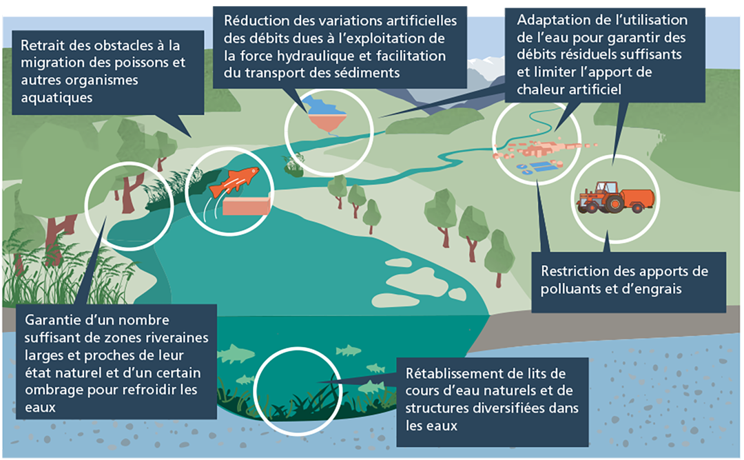 Graphique sur les mesures de renforcement des eaux