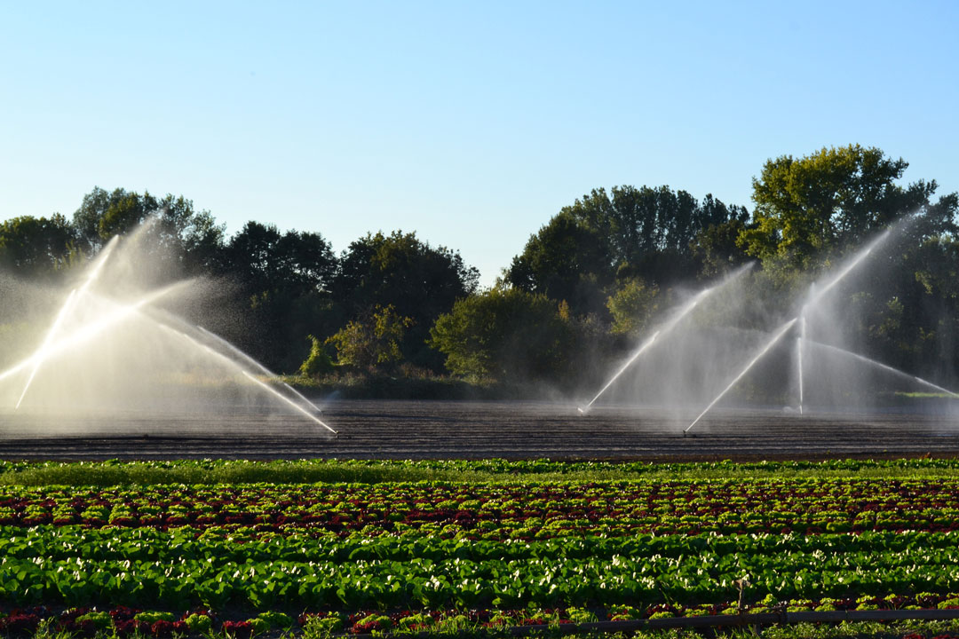 Systèmes d’irrigation