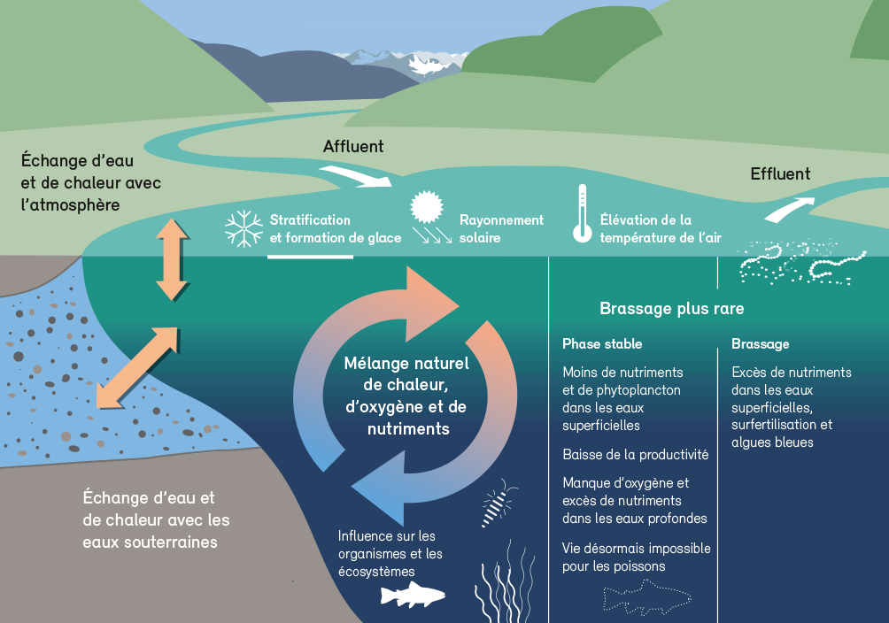Processus majeurs dans les écosystèmes lacustres pouvant être modifiés par les changements climatiques