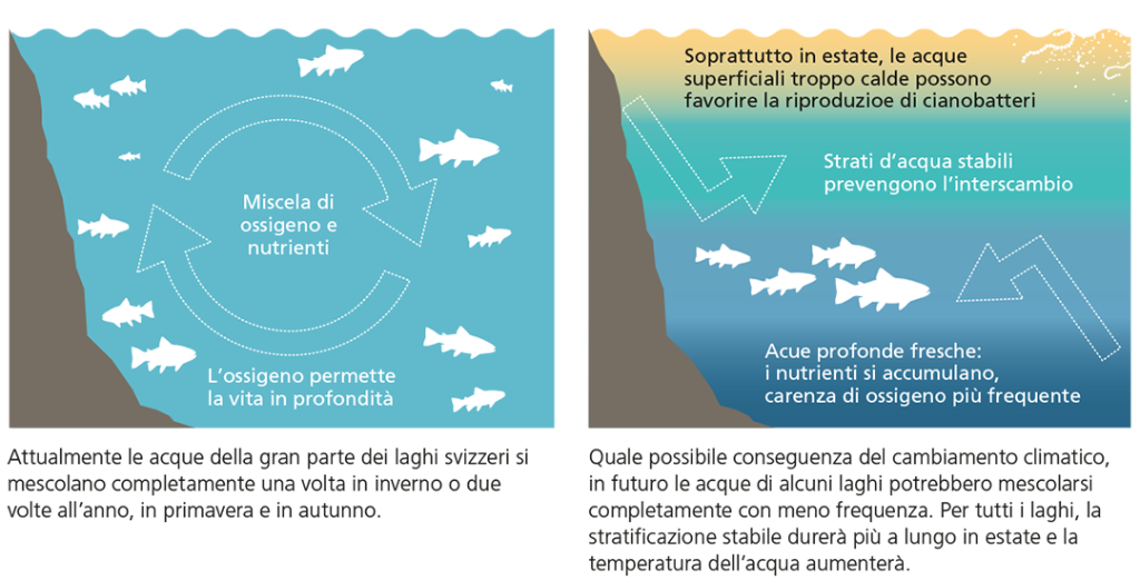 Effetti del riscaldamento climatico sui laghi