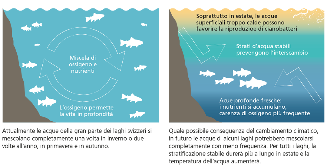 Effetti del riscaldamento climatico sui laghi