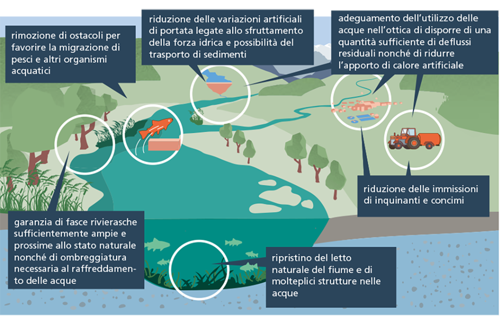 Grafico delle misure volte a rafforzare lo stato delle acque