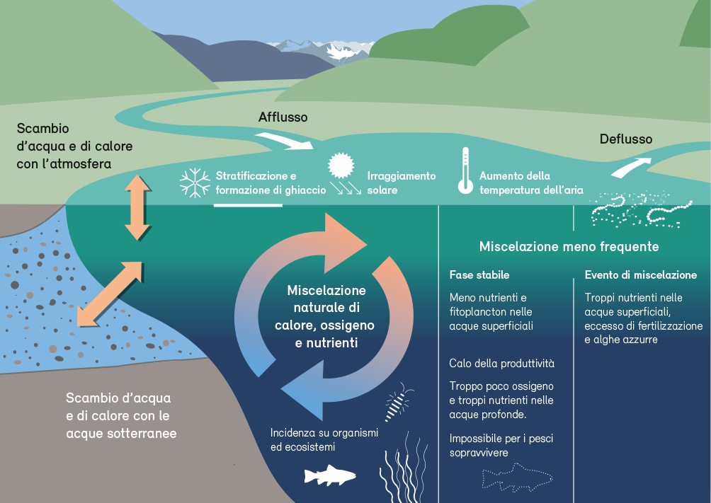 Processi importanti negli ecosistemi lacustri che possono essere modificati dai cambiamenti climatici
