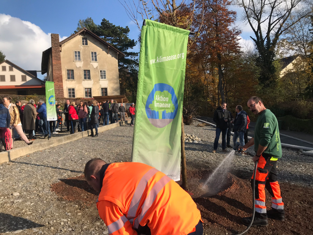 Deux jardiniers plantent un arbre